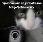 ce7ec252ad5b4ea557b65e5ce344833c.jpg